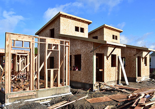 magnolias with walls